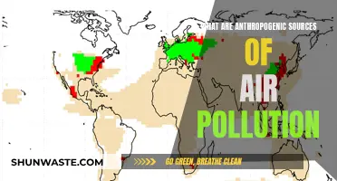 Anthropogenic Air Pollution: Human Activities, Toxic Air