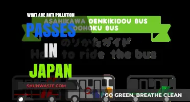 Japan's Anti-Pollution Passes: How Do They Work?