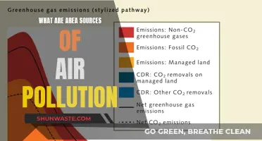 Area Sources of Air Pollution: Localized Threats, Global Impact