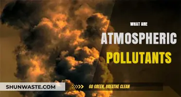 Air Pollution: Understanding Atmospheric Pollutants