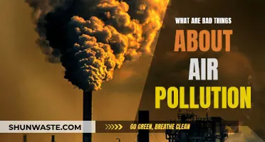 Air Pollution: Deadly Impact and Hidden Dangers