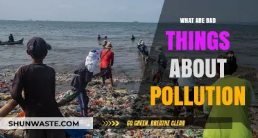 Pollution's Harmful Effects: Understanding the Dark Side