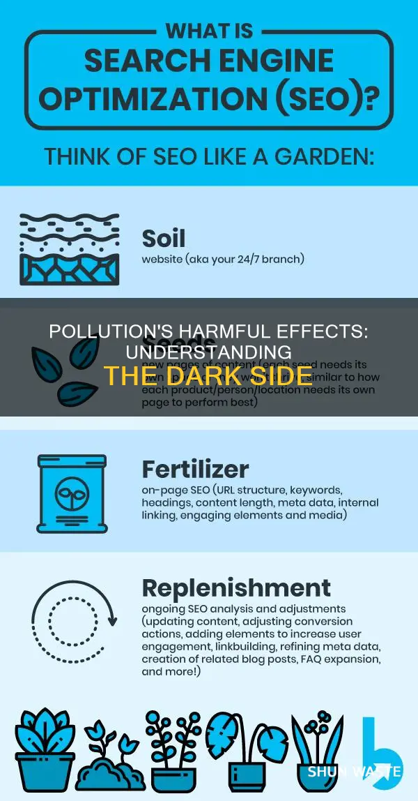 what are bad things about pollution