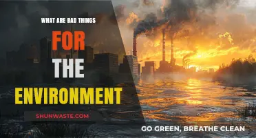 Harmful Habits and Practices Destroying Our Planet's Health and Future