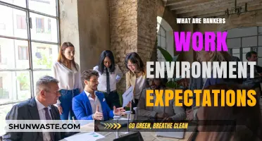 Bankers' Work Environment: Expectations, Challenges, and Professional Standards
