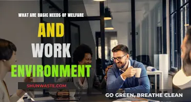 Essential Welfare and Work Environment Needs for Employee Well-being and Productivity