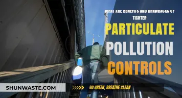 How Strict Particulate Pollution Controls Affect Our Lives