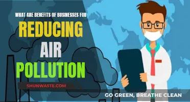 Businesses: Reducing Air Pollution for a Greener Tomorrow