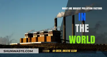 Major Global Pollutants: Key Factors and Impacts