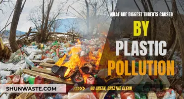 The Plastic Crisis: Unveiling the World's Most Urgent Environmental Threats