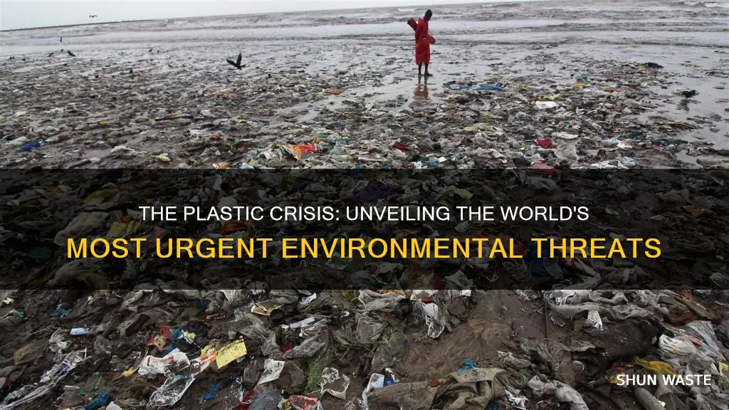 what are biggest threats caused by plastic pollution