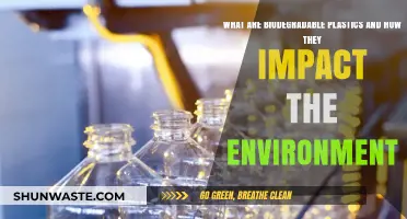 Biodegradable Plastics: Eco-Friendly Solutions and Environmental Impact Explained