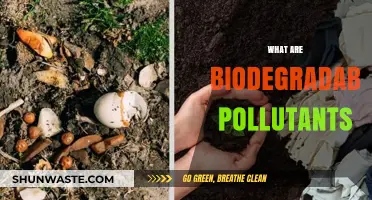 Green Pollutants: Biodegradable Substances and Their Impact