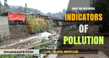 Biological Pollution Indicators: Nature's Warning Signs