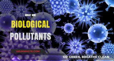 Biological Pollutants: Understanding the Unseen Contaminants in Our Environment