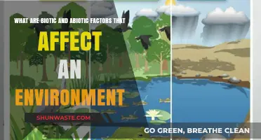 Exploring Biotic and Abiotic Factors Shaping Ecosystems and Environments