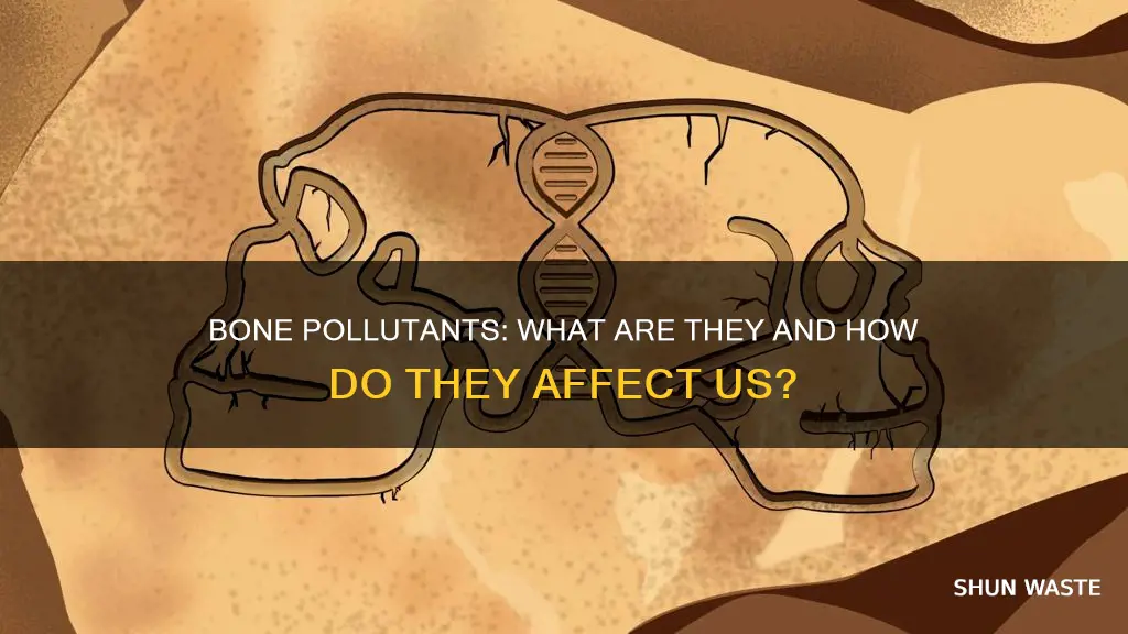 what are bone pollutants
