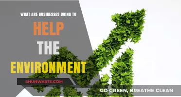 Sustainable Strategies: How Businesses Are Protecting Our Planet Today