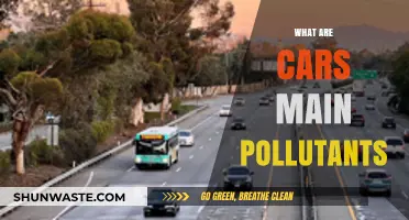 Cars: Understanding Their Main Pollutant Sources