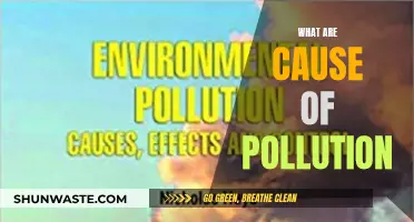 Unveiling the Hidden Causes of Pollution: A Comprehensive Guide