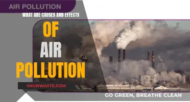 Unveiling Air's Dark Secret: Causes, Effects, and Solutions