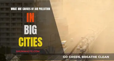 Unveiling Urban Air Pollution: Causes and Solutions for City Dwellers