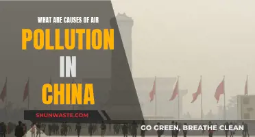 Unveiling China's Air Pollution Crisis: Causes and Solutions