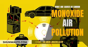 Unveiling the Hidden Dangers: Causes of Carbon Monoxide Pollution