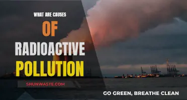 Unveiling the Origins: Understanding Radioactive Pollution's Causes