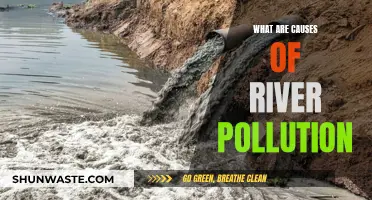 Unveiling the Hidden Causes of River Pollution: A Comprehensive Guide