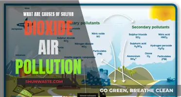 Unveiling the Sources: Understanding Sulfur Dioxide Air Pollution