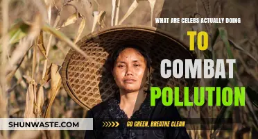 Famous Faces Taking Action Against Pollution