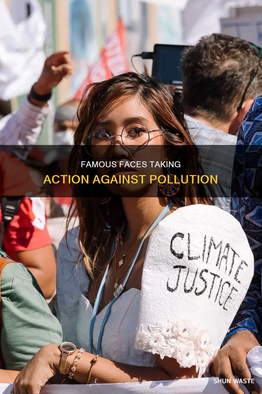 what are celebs actually doing to combat pollution