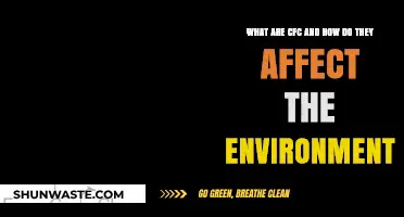 Understanding CFCs: Environmental Impact and Ozone Layer Depletion Explained