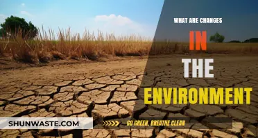 Understanding Environmental Shifts: Key Changes Impacting Our Planet Today