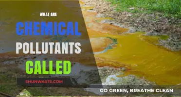 Chemical Contaminants: What Are They?