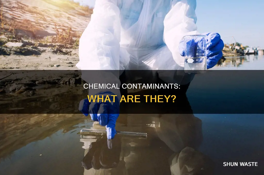 what are chemical pollutants called