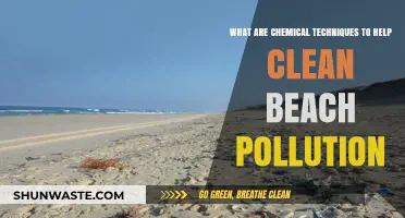 Chemical Strategies to Combat Beach Pollution