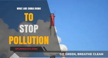 China's Anti-Pollution Strategies: What's Working?