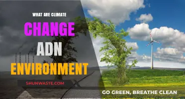 Understanding Climate Change and Its Impact on Our Environment