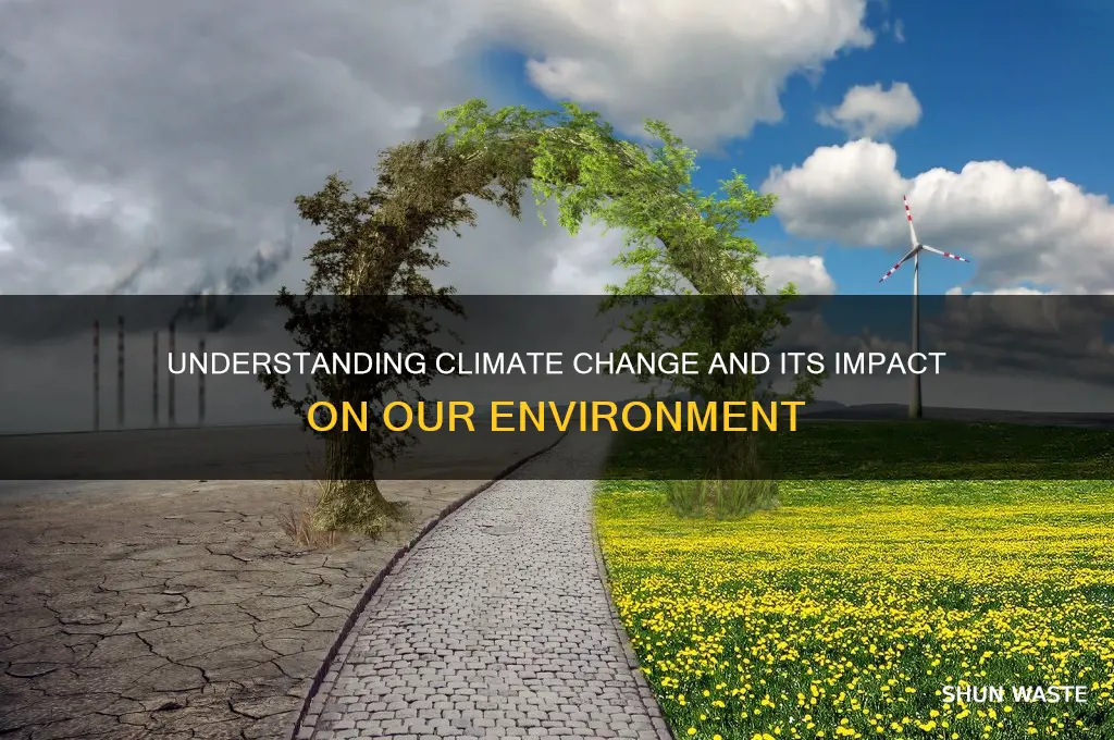 what are climate change adn environment