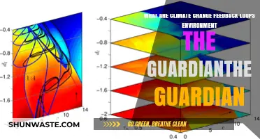 Climate Change Feedback Loops: How the Environment Amplifies Global Warming