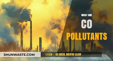 Understanding Co-Pollutants and Their Impact