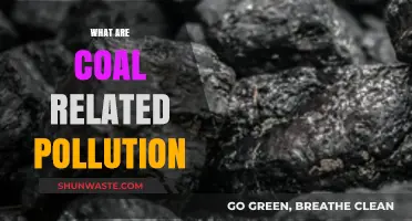 Coal Pollution: The Dark Side of Energy