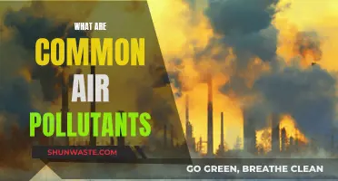 Air Pollutants: Common Toxins in Our Air