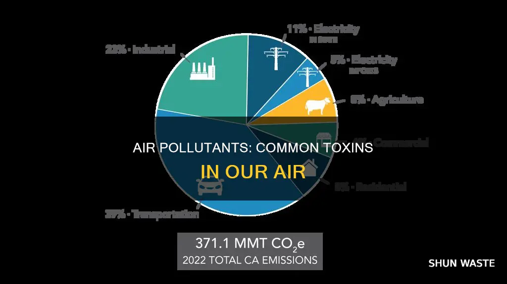 what are common air pollutants