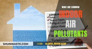 Air Quality Alert: Common Indoor Pollutants Revealed