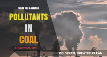 Coal's Dirty Secrets: Common Pollutants Revealed