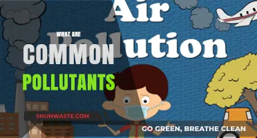 Air, Water, and Soil: Common Pollutants and Their Sources