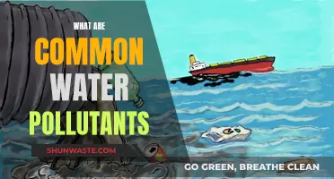 Unveiling the Hidden Dangers: Common Water Pollutants and Their Impact